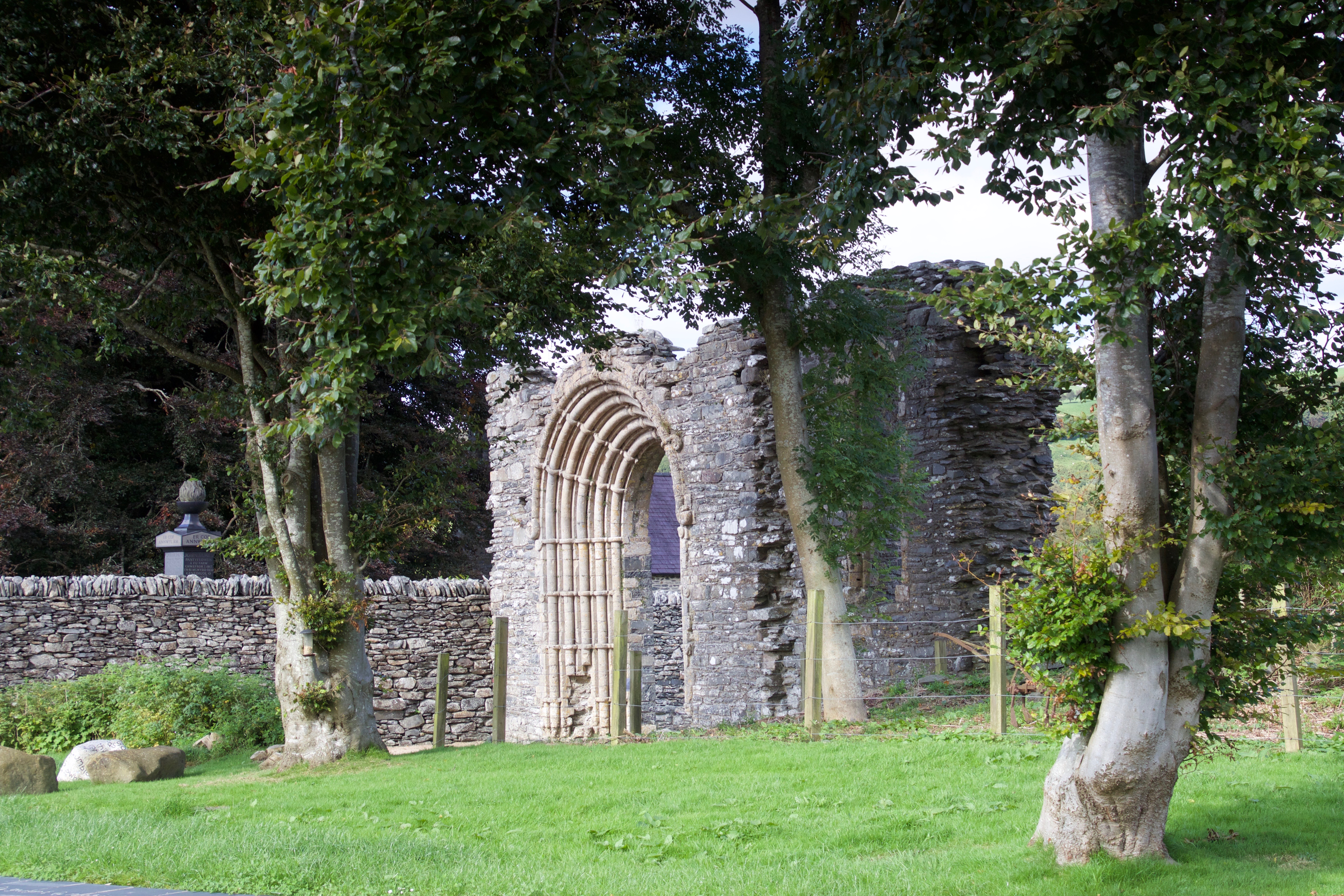 Strata Florida  170826