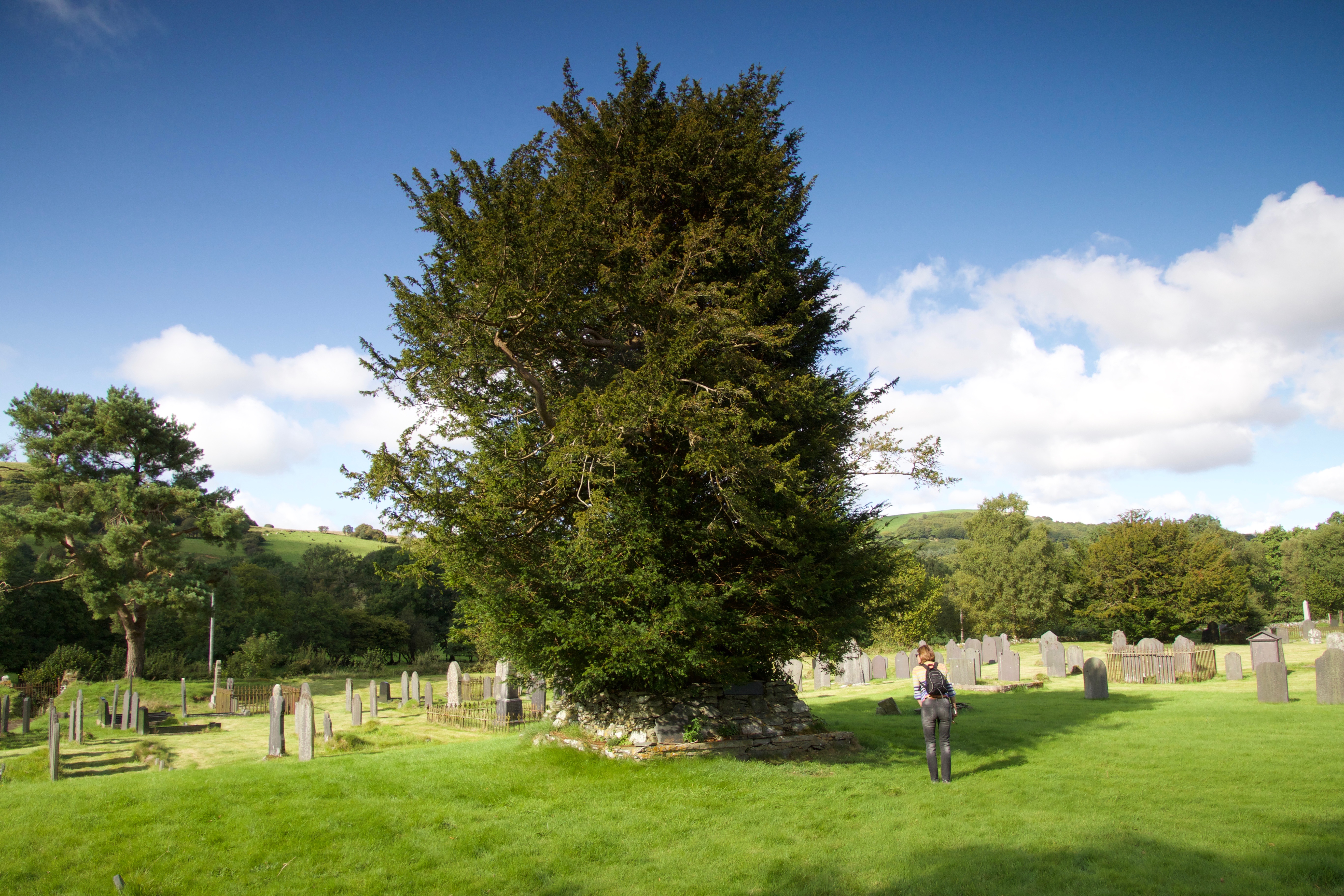 Strata Florida  170826