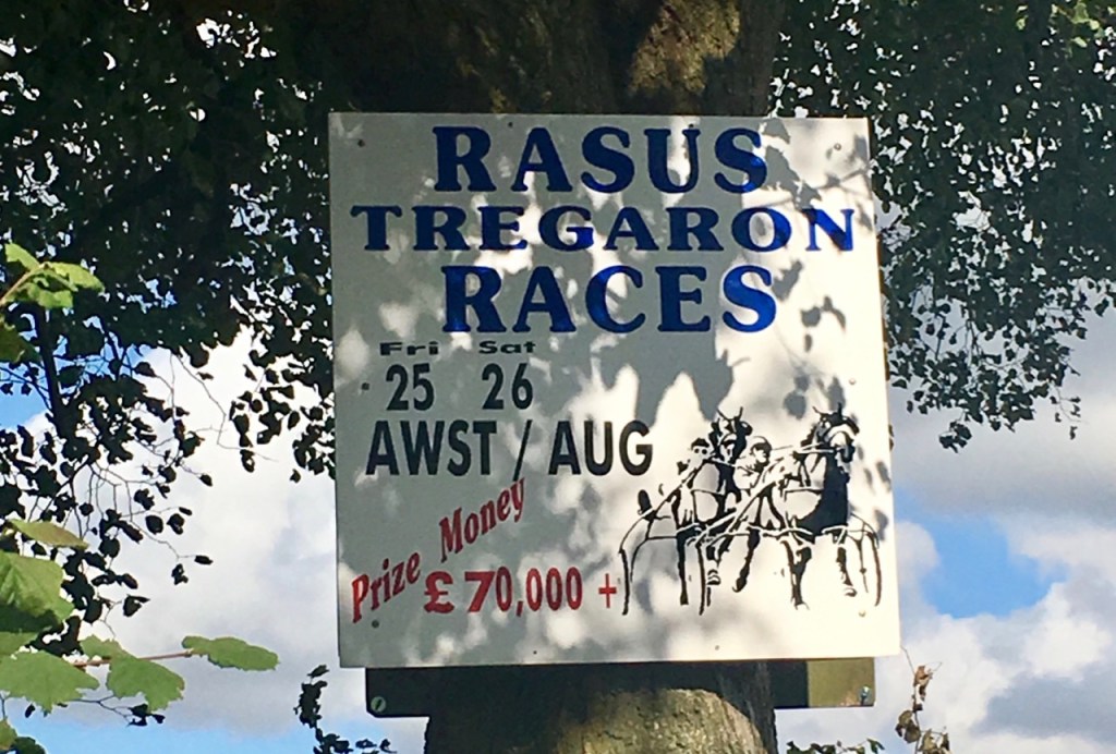 A Day At The Races – Welsh 100 No&nbsp;53