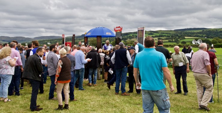 Tregaron Races 170826