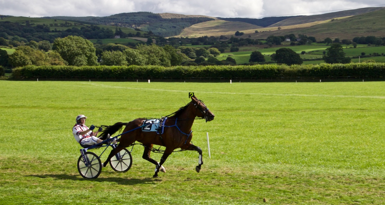 Tregaron Races 170826