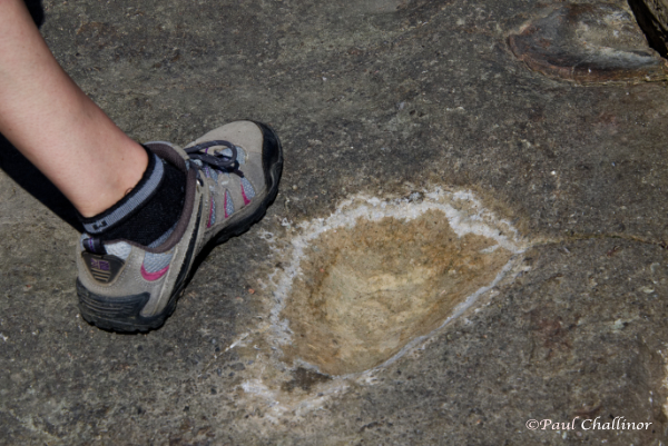 Dinosaur Footprint