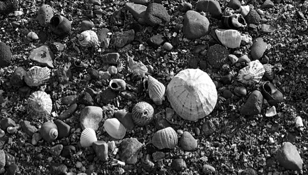 Porthcawl-Ogmore 171125