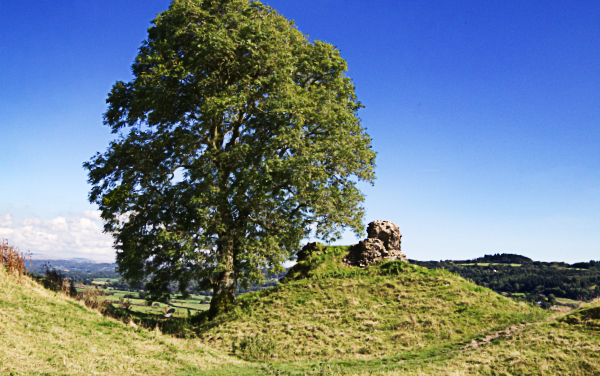 Apple Photos Document