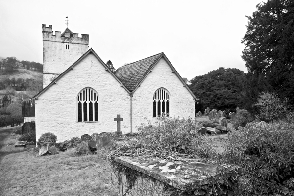 How old is a tree? The Defynnog&nbsp;Yew