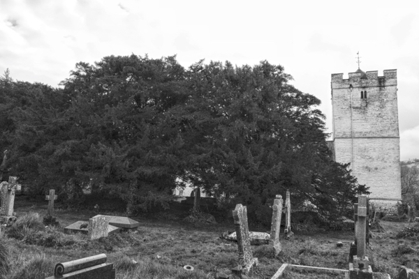 Defynnog 021217 – Version 3