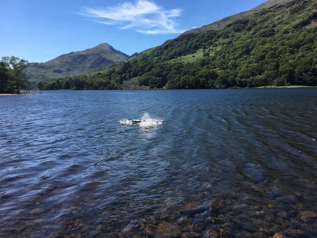 Wild Swimming – Welsh 100&nbsp;#57