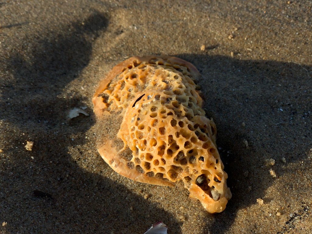 Baglan Burrows to Port Talbot – Wales Coast&nbsp;Path