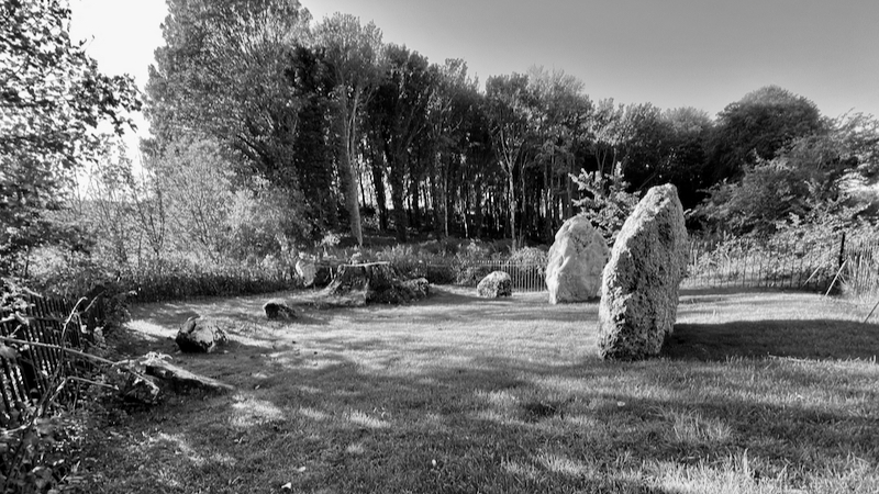 The Nine Stones, Winterbourne Abbas