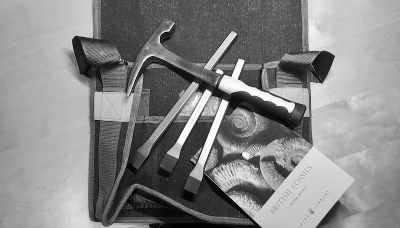 Penarth Fossil Hunting