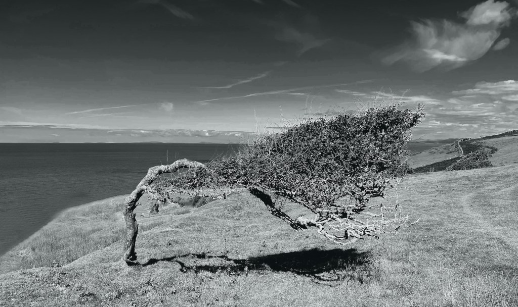 Llanon to Aberystwyth