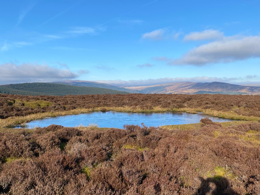 Grwyne Fawr – forests, hills, saints and&nbsp;revenge.