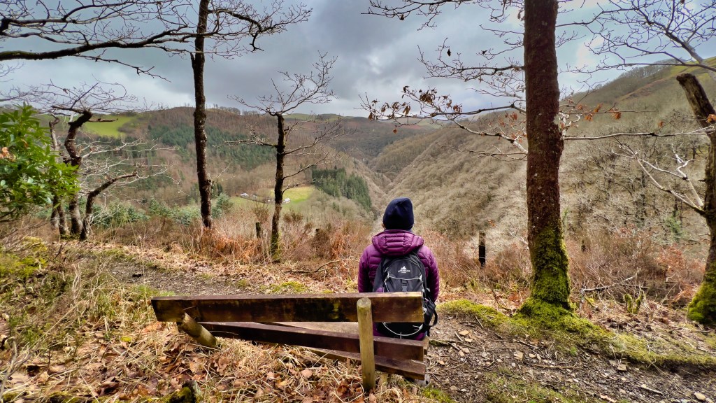 Cwm Rheidol – A Welsh Rainforest