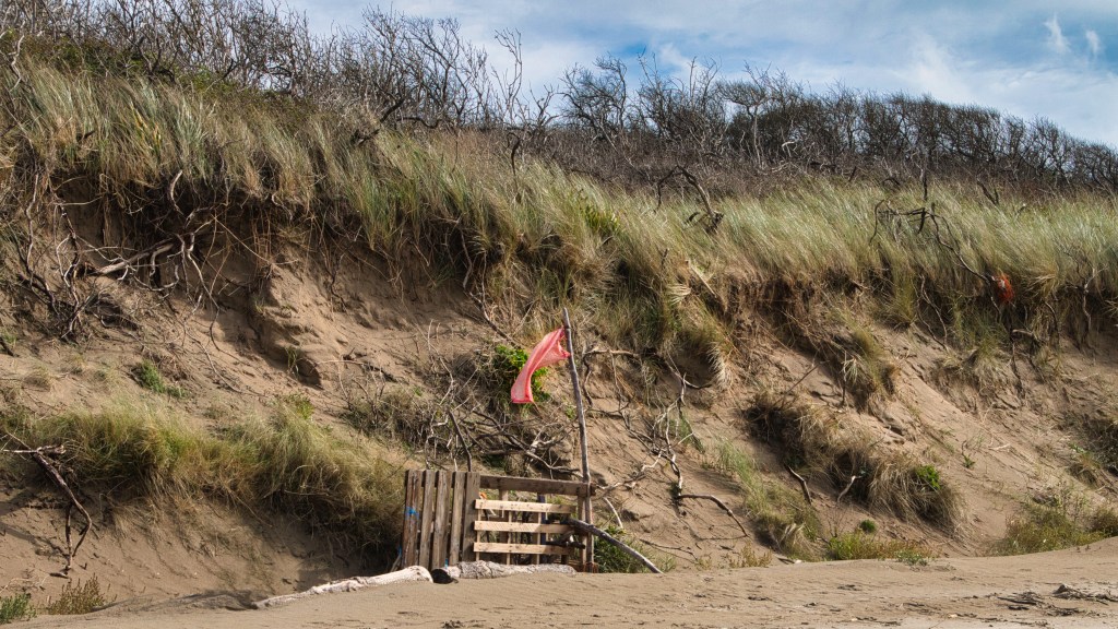 Shipwreck Sands – Burry Port to Kidwelly