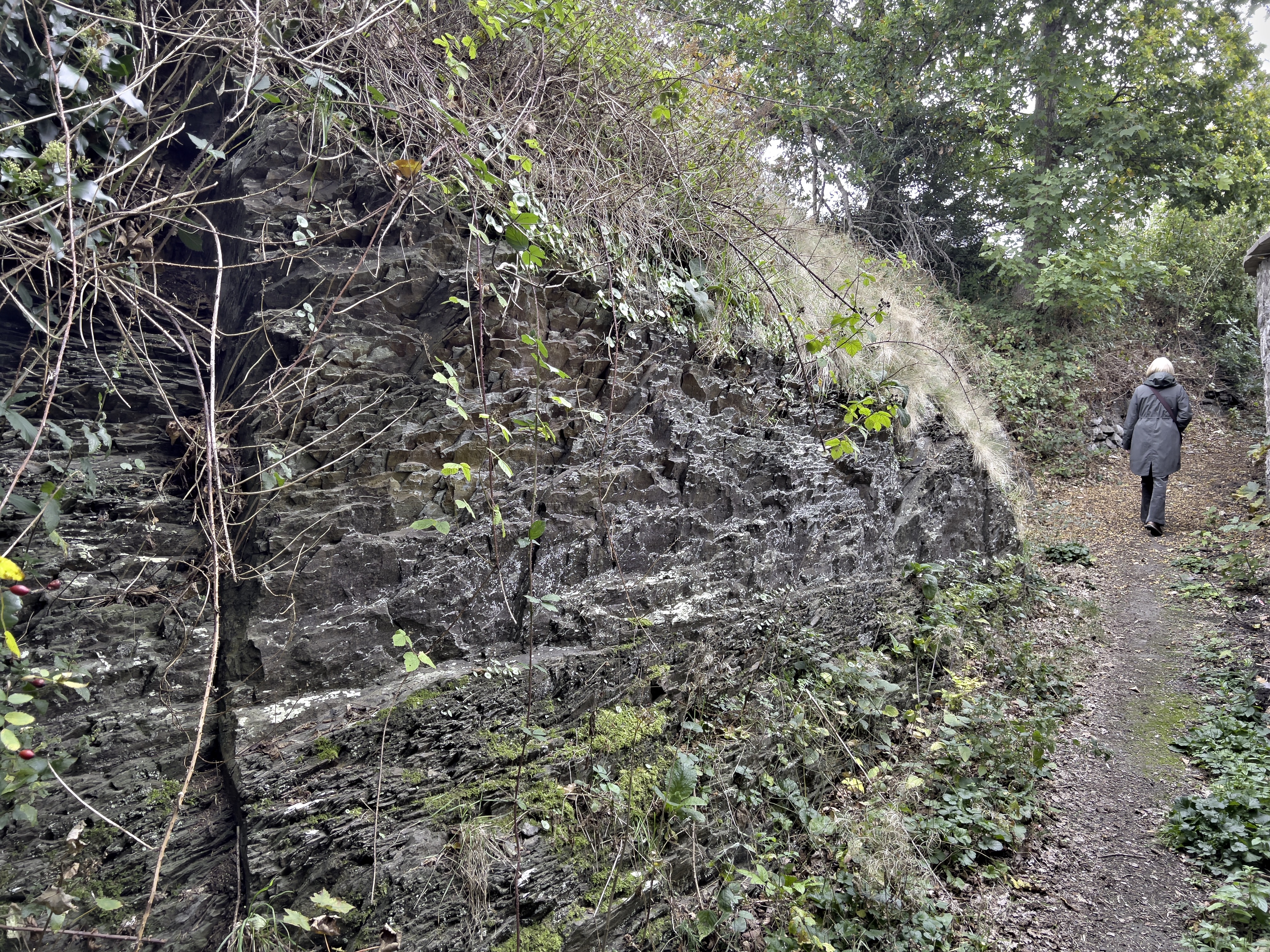 The deep rock-cut ditch that provides part of the defences..