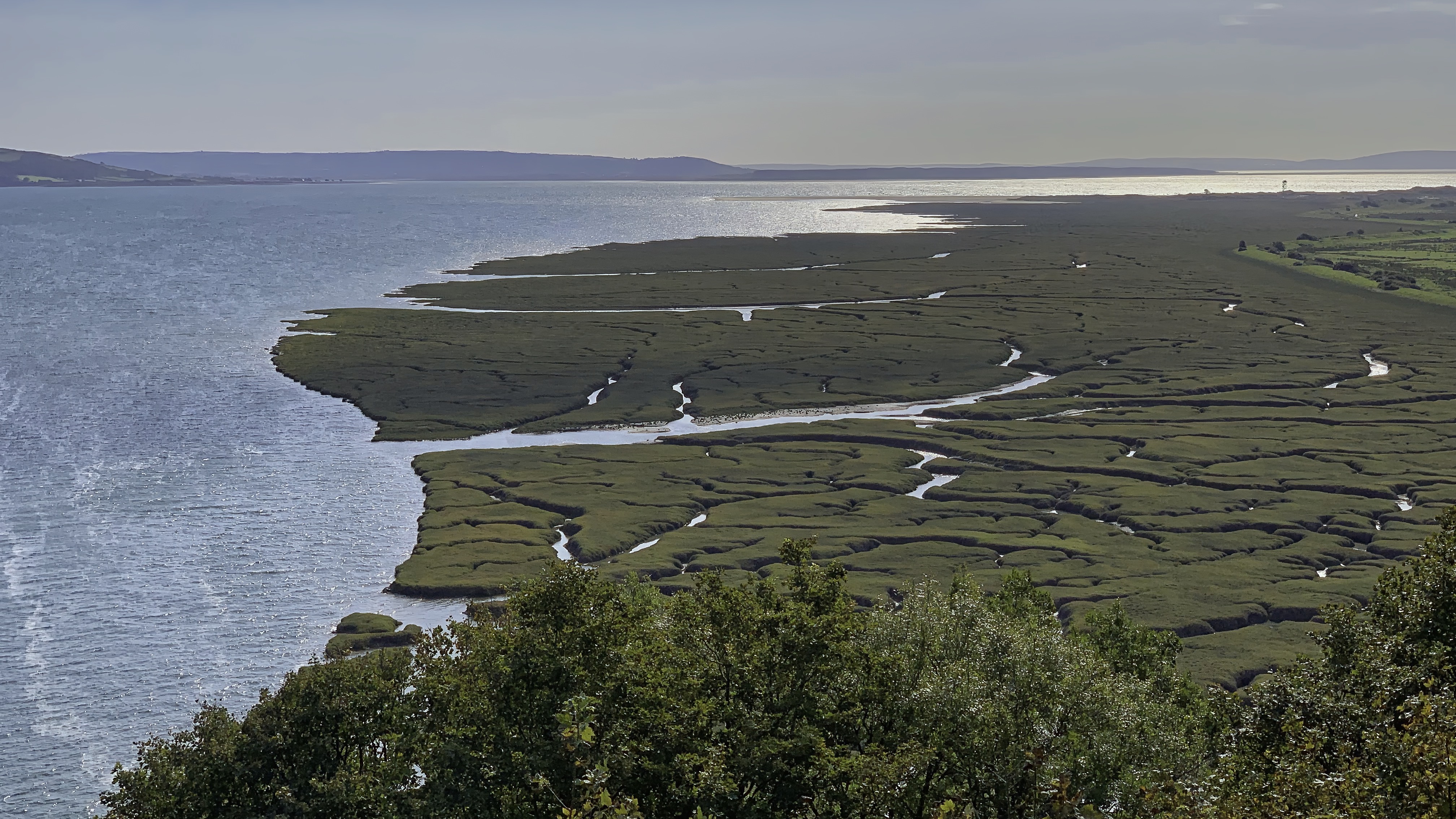 The marshland lining the western banks of the Afon Taf estuary.