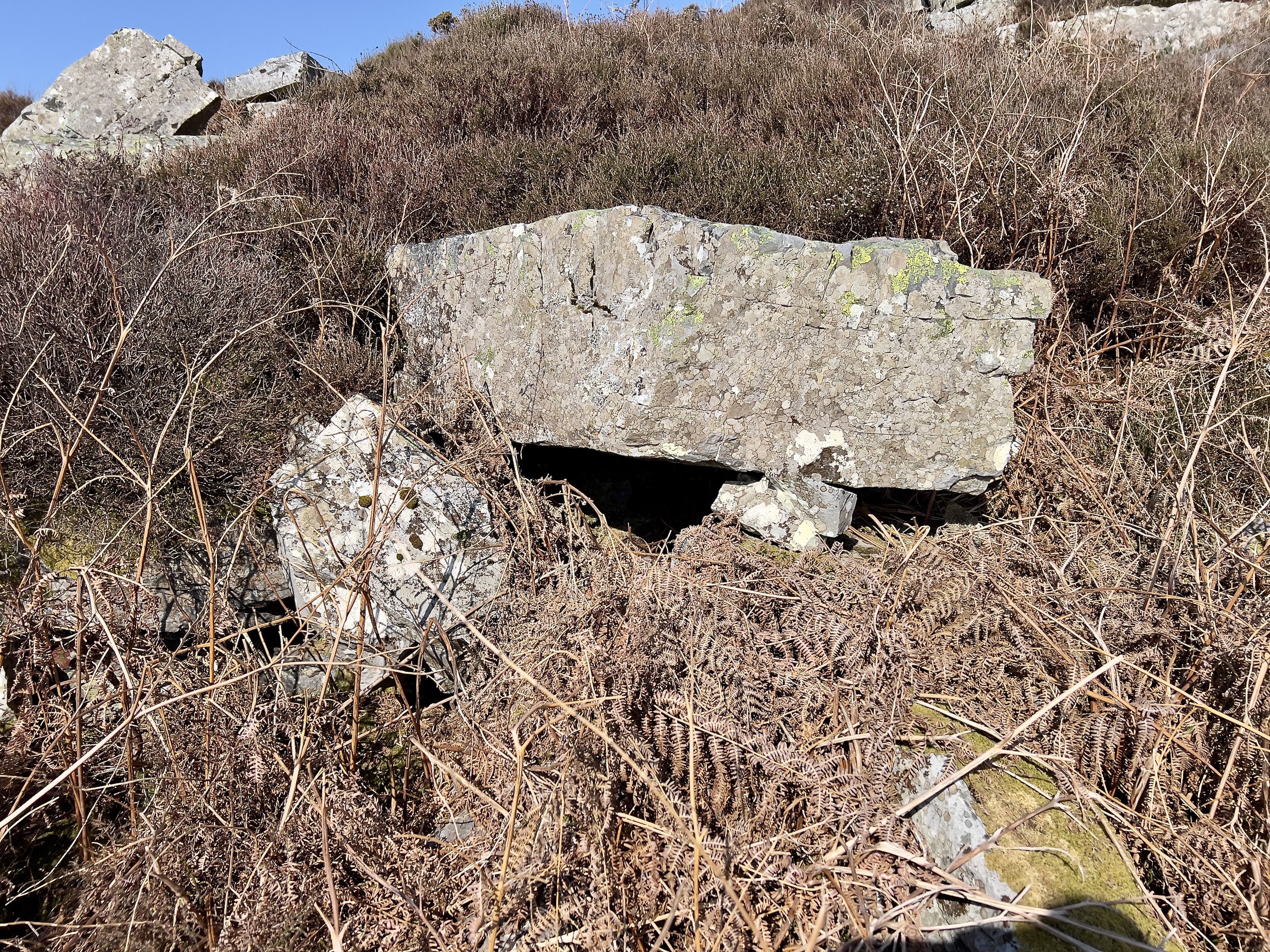 I did think this was also another chamber, but I now very much doubt it. The capstone isn’t wide or long enough. Then I thought it might have been the Druid’s Altar. Now I don’t know what it is - probably natural.