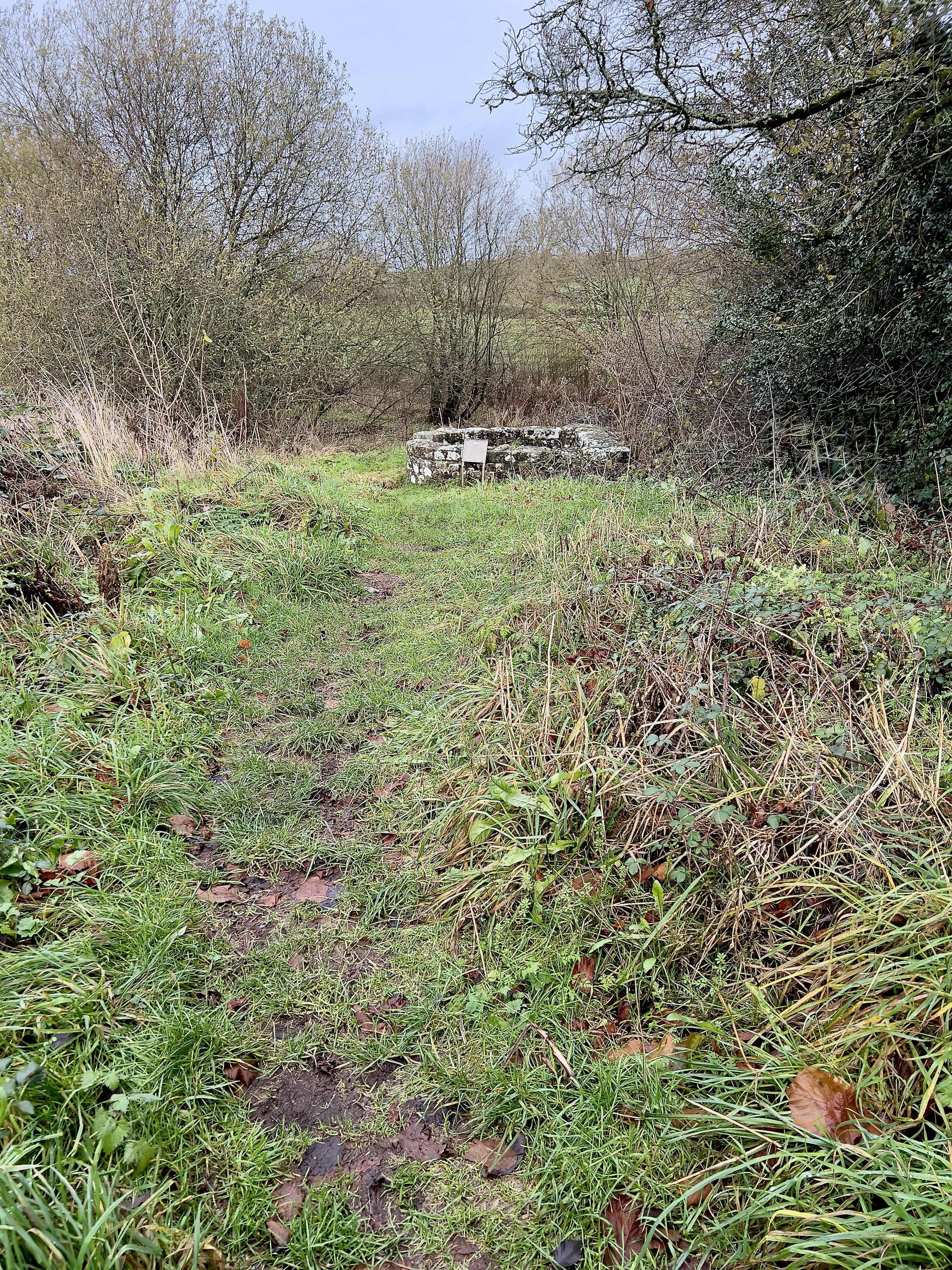 The approach to the well.