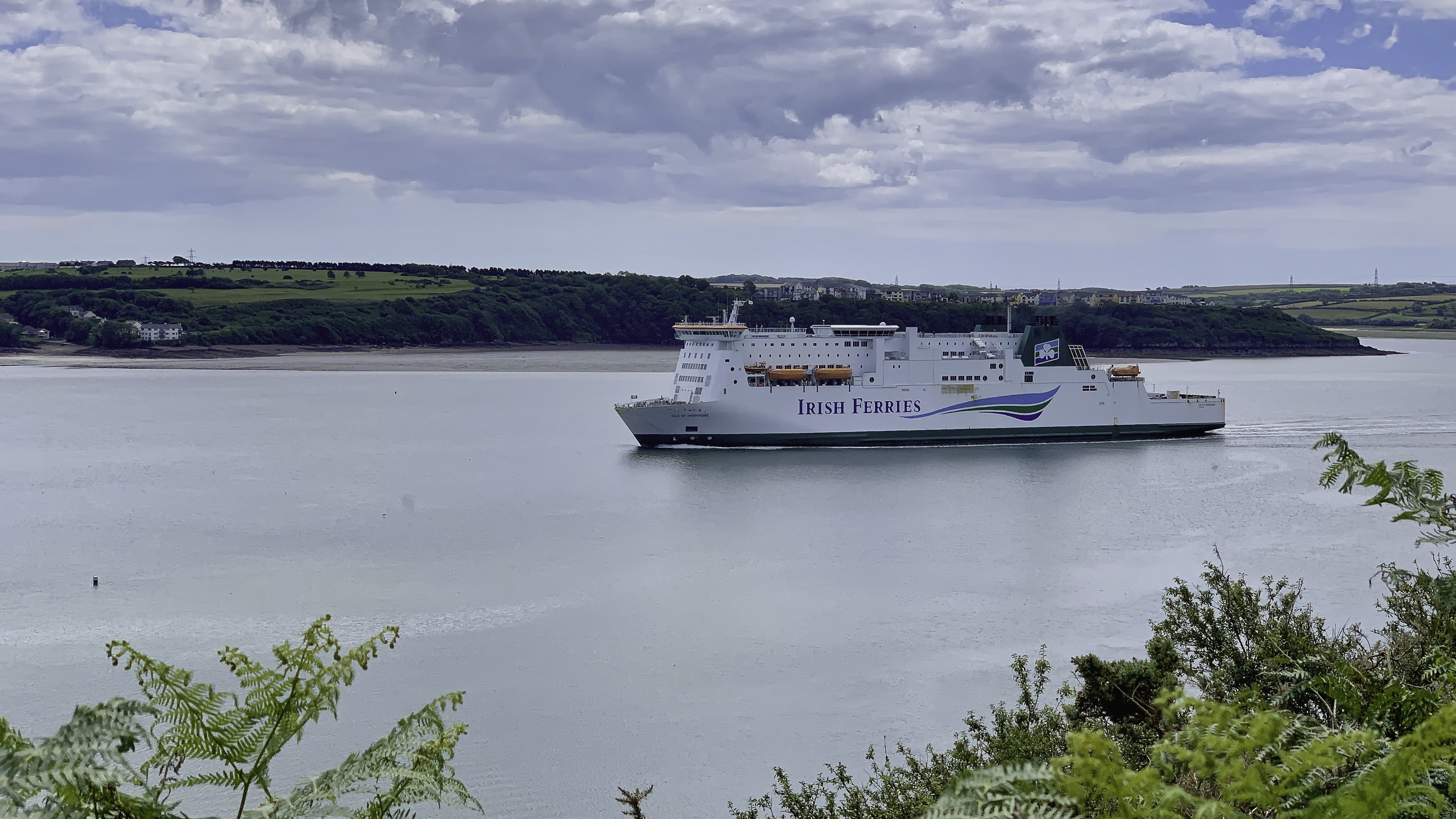 Watching the Irish Ferries Isle of inshore coming to to Pembroke Dock as we walking into Neyland.