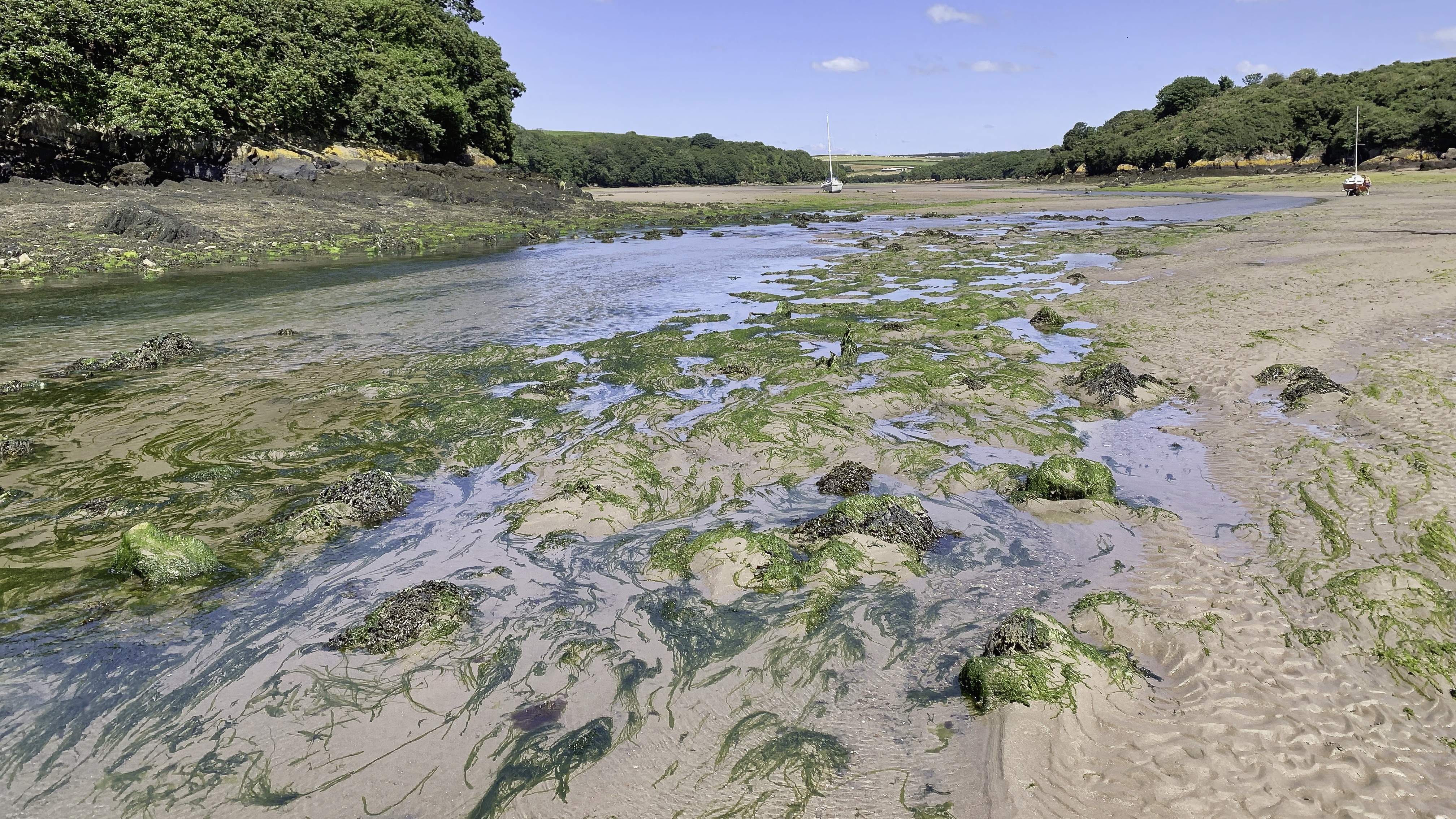 Looking up the creek of Sandy Haven.